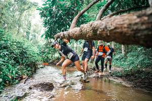 BIB: 
                            <button type="button" onclick="openModal(25375843)" class="btn btn-primary btn-sm float-right btn-popup" data-toggle="modal" data-target=".modal-high-quality">
                        <i class="fas fa-shopping-cart"></i> Add to Cart
                    </button>
                                            <button type="button" onclick="isThisMe(25375843, true)" class="btn btn-success btn-sm float-right btn-popup btn-isme hidden" data-toggle="tooltip" data-placement="bottom" title="นี่คือรูปของคุณใช่ไหม คลิกที่นี่เพื่อเอาเข้าอัลบั้ม">
                        <i class="fas fa-plus"></i> Add to album
                    </button>
                    <button type="button" onclick="isThisMe(25375843, false)" class="btn btn-warning btn-sm float-right btn-popup btn-isnotme hidden">
                        <i class="fas fa-ban"></i> Remove from album
                    </button>